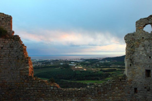 El Maresme preserva sus bosques El Maresme preserva sus bosques